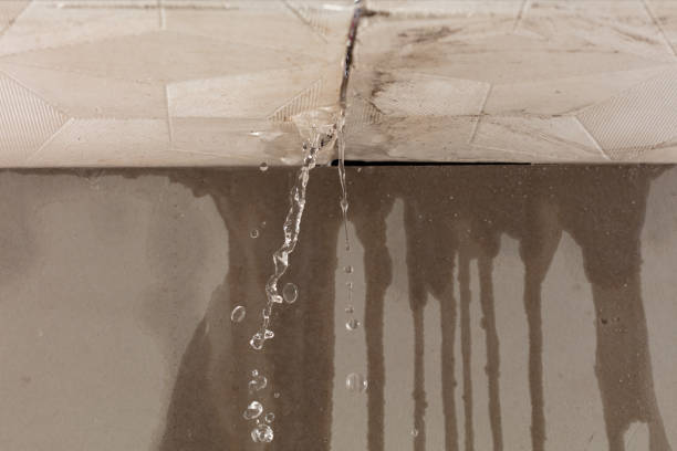 Professional Flood Damage Cleanup technician working in Wilkeson, WA